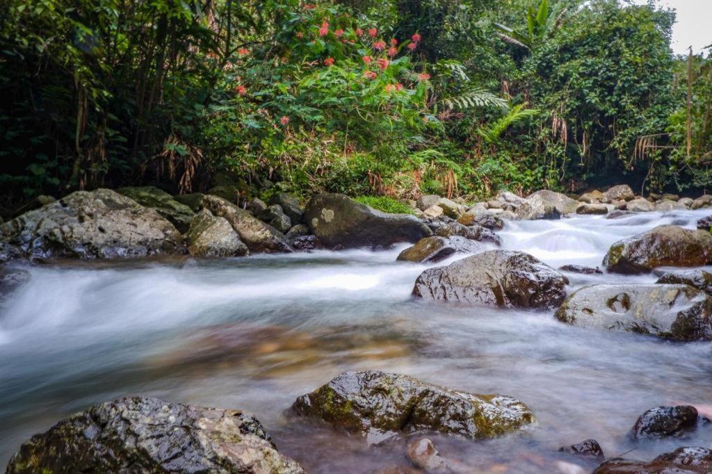 Graha Widjaja Hotell Puncak Exteriör bild